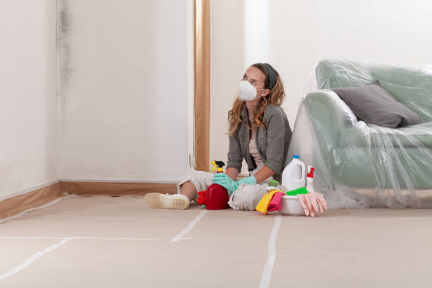 Reliable Mold Inspection contractor in Chalfont, PA by WQB Mold Removal
